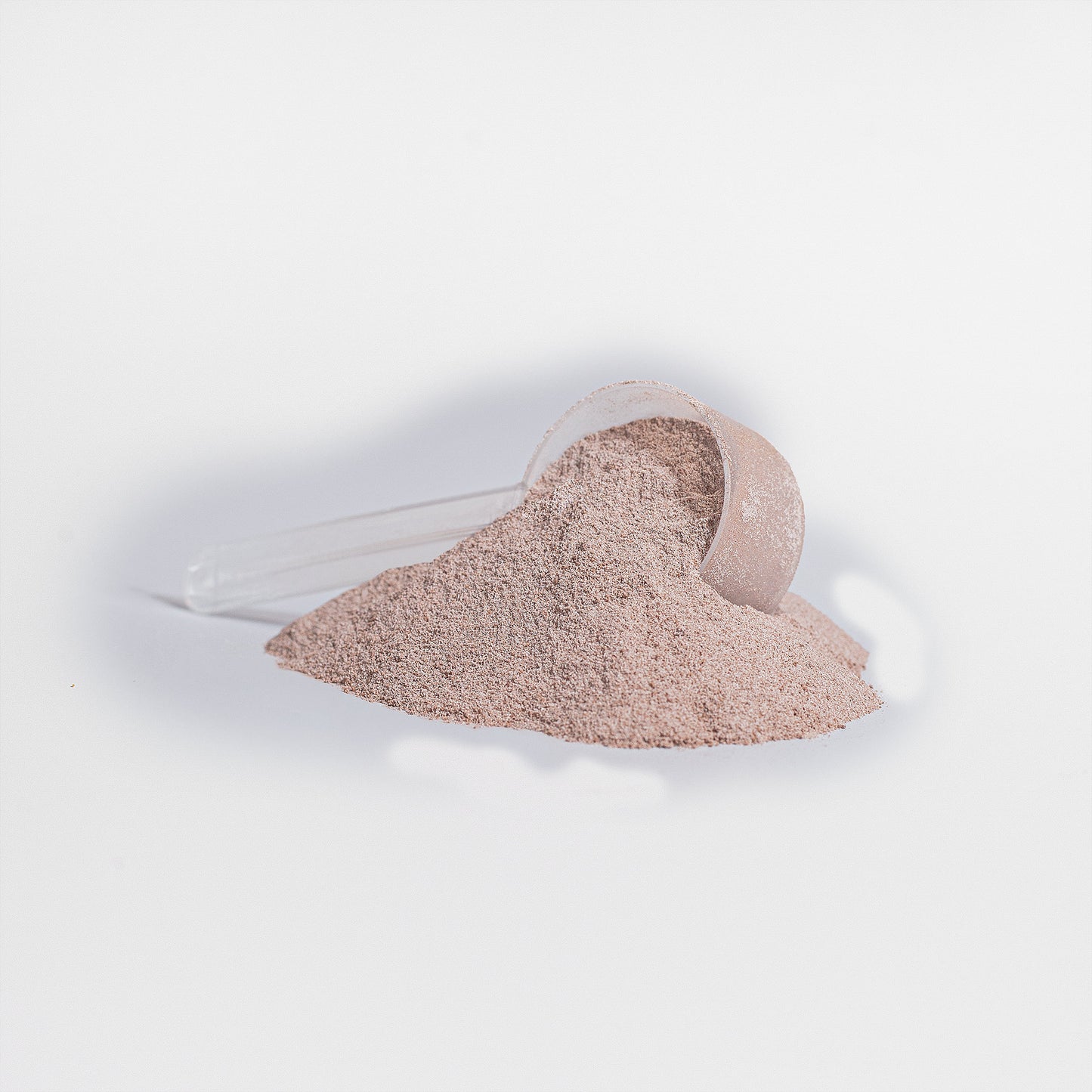 Plant Protein