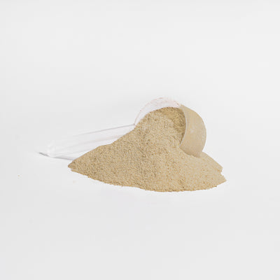 Plant Protein