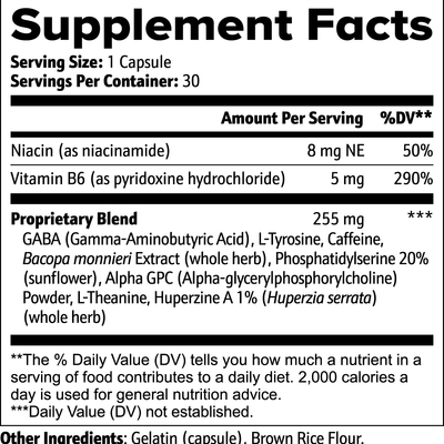 Neuro-Brain